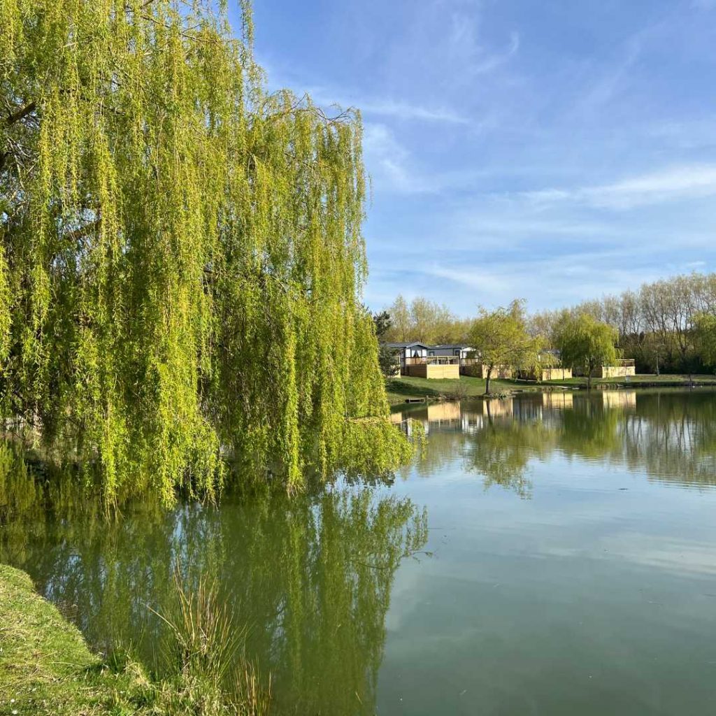 Statics for sale Lincolnshire uk