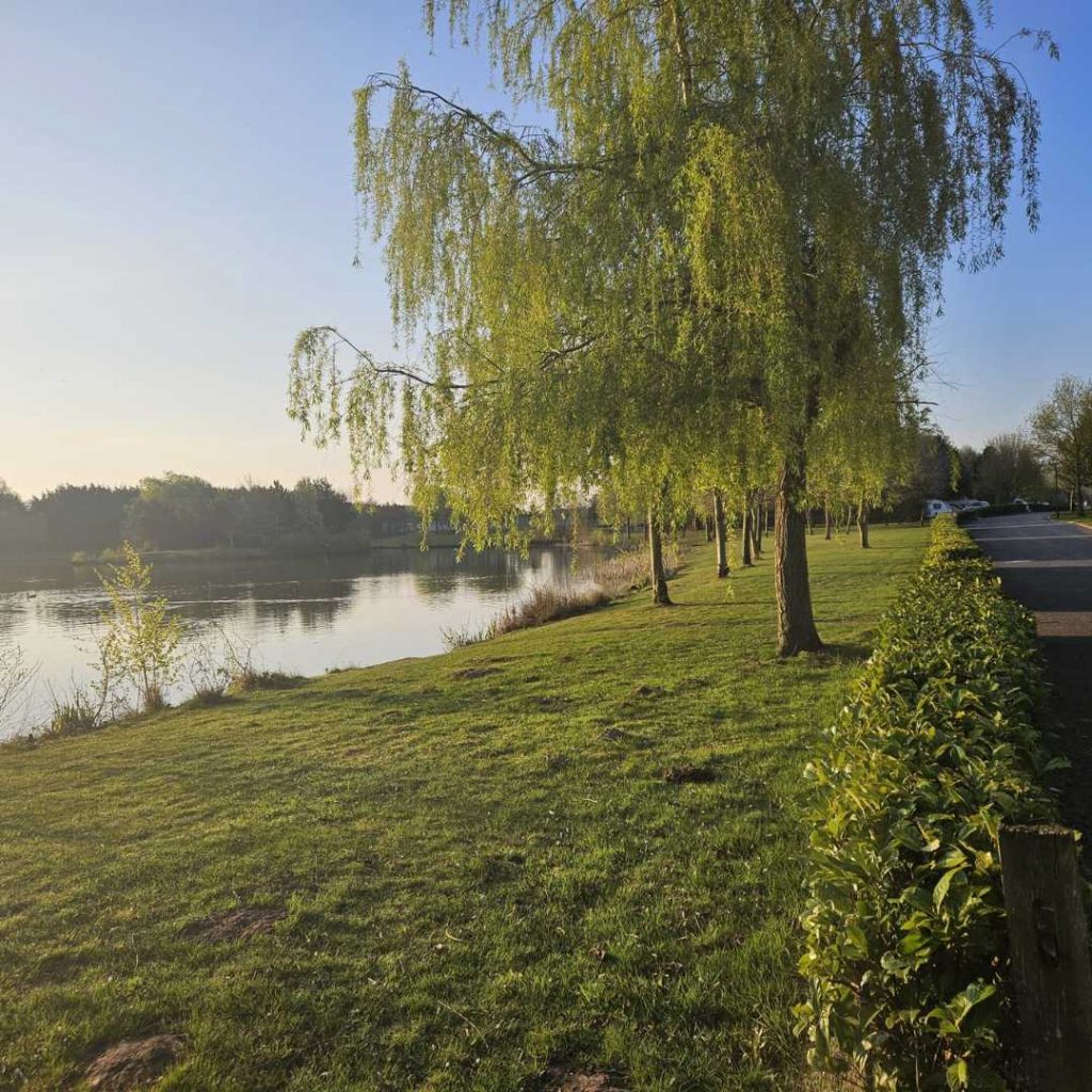 statics for sale lincolshire