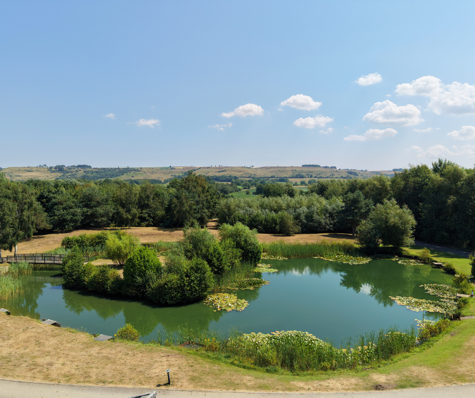 fishing lakes lincolnshire